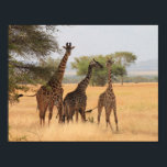 Giraffe Africa Animal Pattern Destiny's Destiny ポスター<br><div class="desc">Destiny</div>