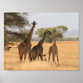 Giraffe Africa Animal Pattern Destiny's Destiny ポスター