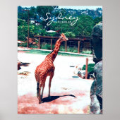 Giraffe animal Sydney Australia ポスター (正面)