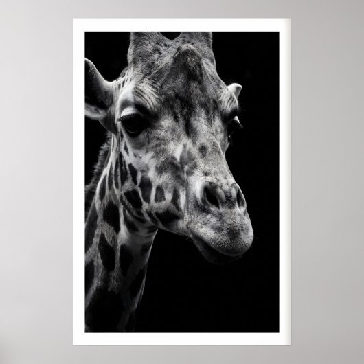 Giraffe Art Print Crisp Monochrome Photography ポスター (正面)