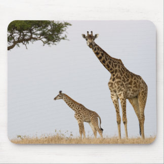 Giraffe Calf and Mama マウスパッド