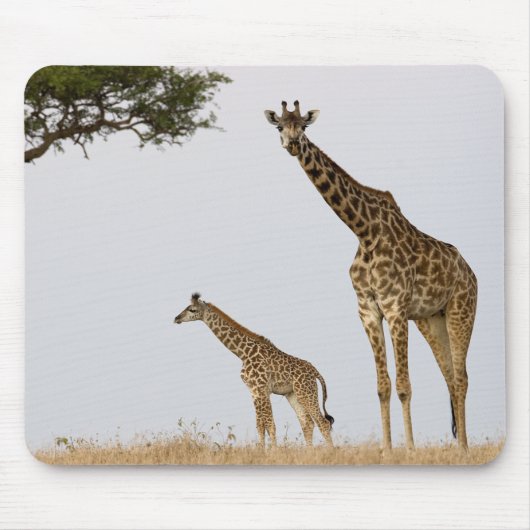 Giraffe Calf and Mama マウスパッド (正面)