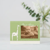 Giraffe Green Its a Boy/girlの発表 案内ポストカード (スタンド正面)