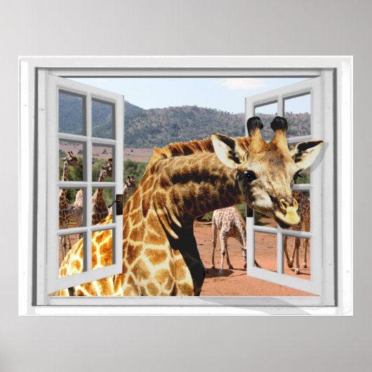 Giraffe in Fake Window View Trompe l'oeil Effect ポスター (正面)