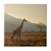 Giraffe in the Savannah タイル (正面)