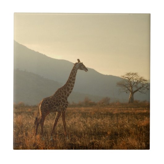 Giraffe in the Savannah タイル (正面)