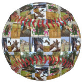Giraffe Photo Collage, Softball ソフトボール (裏面)