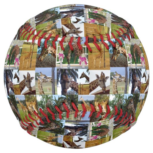 Giraffe Photo Collage, Softball ソフトボール (正面)