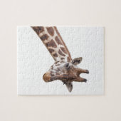 Giraffe Portrait Photo on White ジグソーパズル (横)