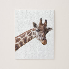 Giraffe Portrait Photo on White ジグソーパズル