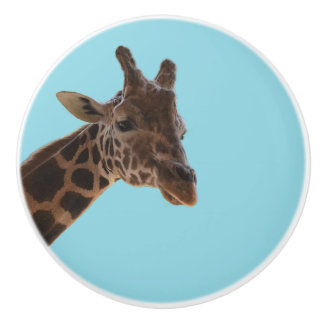 Giraffe pull knob セラミックノブ