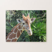 Giraffe Puzzle ジグソーパズル (横)