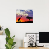 Giraffe silhouetted at sunrise, Giraffa ポスター (ホームオフィス)