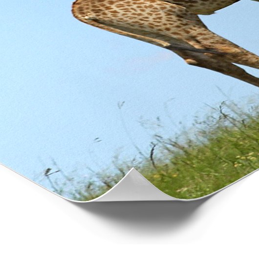 Giraffe Twinsポスター ポスター (角)