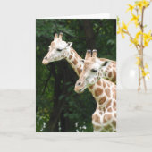 Giraffesグリーティングカードのペア カード (黄色い花)