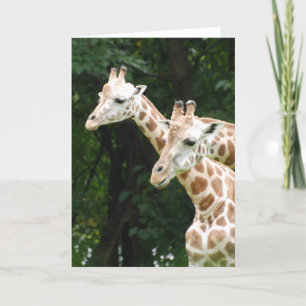 Giraffesグリーティングカードのペア カード