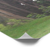 giraffes 002キャンバス ポスター (角)