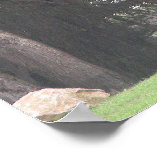 giraffes 003キャンバス ポスター (角)