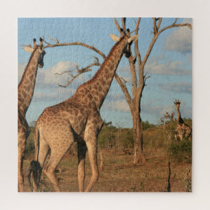 Giraffes 20インチx 20インチジグソーパズル ジグソーパズル
