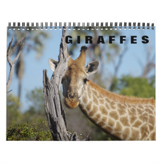 GIRAFFES a 2019カレンダー カレンダー