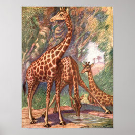 Giraffes by Louis Sargent、ヴィンテージ・アフリカ動物 ポスター