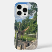 Giraffes  Case-Mate iPhoneケース (裏面)