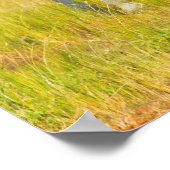 Giraffes on the Savanna, Uganda ポスター (角)