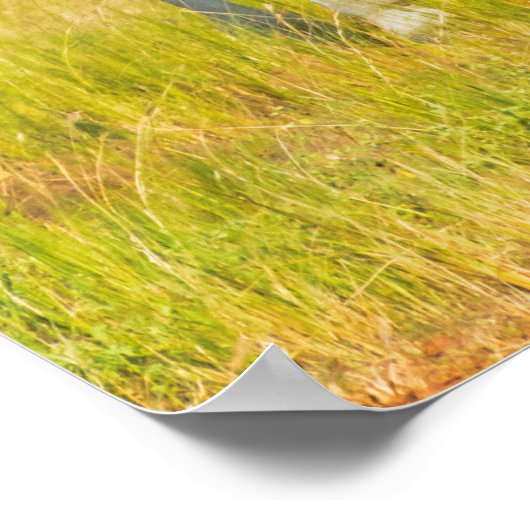 Giraffes on the Savanna, Uganda ポスター (角)