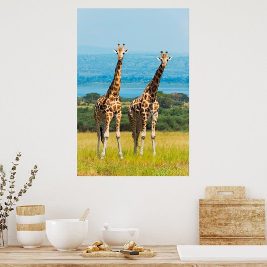Giraffes on the Savanna, Uganda ポスター (キッチン)
