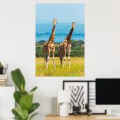 Giraffes on the Savanna, Uganda ポスター (ホームオフィス)