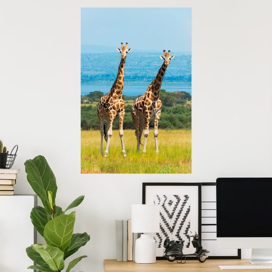 Giraffes on the Savanna, Uganda ポスター (ホームオフィス)