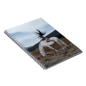 Girl on Horse ノートブック (右側)