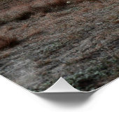 Girl on Horse ポスター (コーナー)