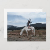 Girl on Horse ポストカード (正面/裏面)
