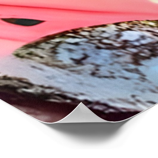 Gitana III ポスター (角)