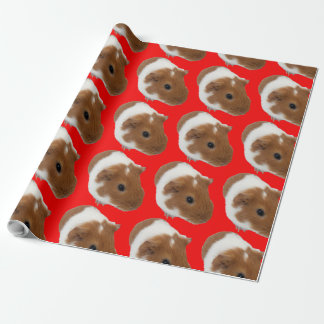 Giunea pig wrapping paper ラッピングペーパー