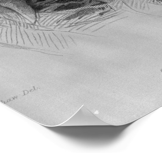 Giuseppe Mazzini ポスター (角)