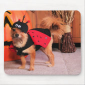 Gizzy - YorkiePom - Burbridge マウスパッド (正面)