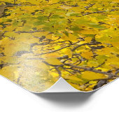 Glacierのピーク紅葉にコットンウッドツリー フォトプリント (角)