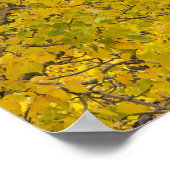 Glacierのピーク紅葉にコットンウッドツリー ポスター (角)