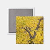 Glacierのピーク紅葉にコットンウッドツリー マグネット (正面/裏面)