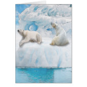 Glacier Bears - 5" x 7"アートカード (正面)