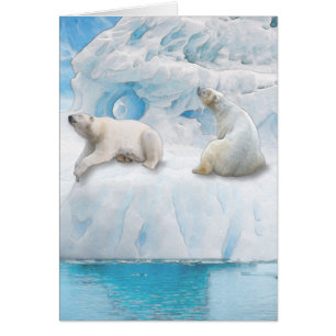Glacier Bears - 5" x 7"アートカード