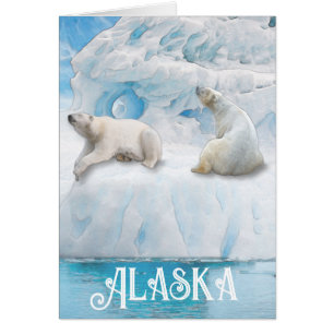 Glacier Bears Alaska - 5" x 7"アートカード