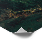 Glacier, Rosen Lanigletscher, 1854 ポスター (角)