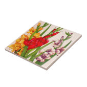 gladiolaによってはグラジオラスの花が開花します タイル (側面)