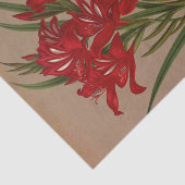 Gladiolus Cardinalis by Arentina Hendriica Arendse 薄葉紙 (詳細)