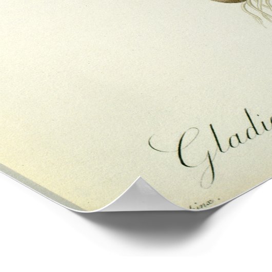 Gladiolus Cardinalis, from 'Les Liliacees', 1805 ポスター (角)