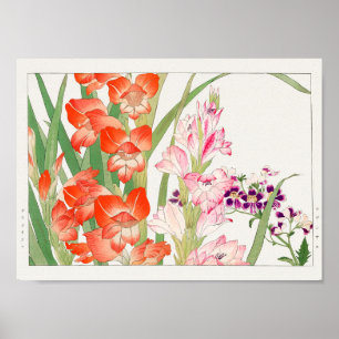 Gladiolus, Schizanthus by Tanigami Konan ポスター