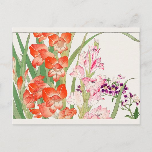 Gladiolus, Schizanthus by Tanigami Konan ポストカード (正面)